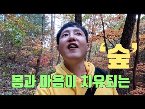 단풍여행 산음 자연휴양림 (시설 정보 및 산책로 탐방)