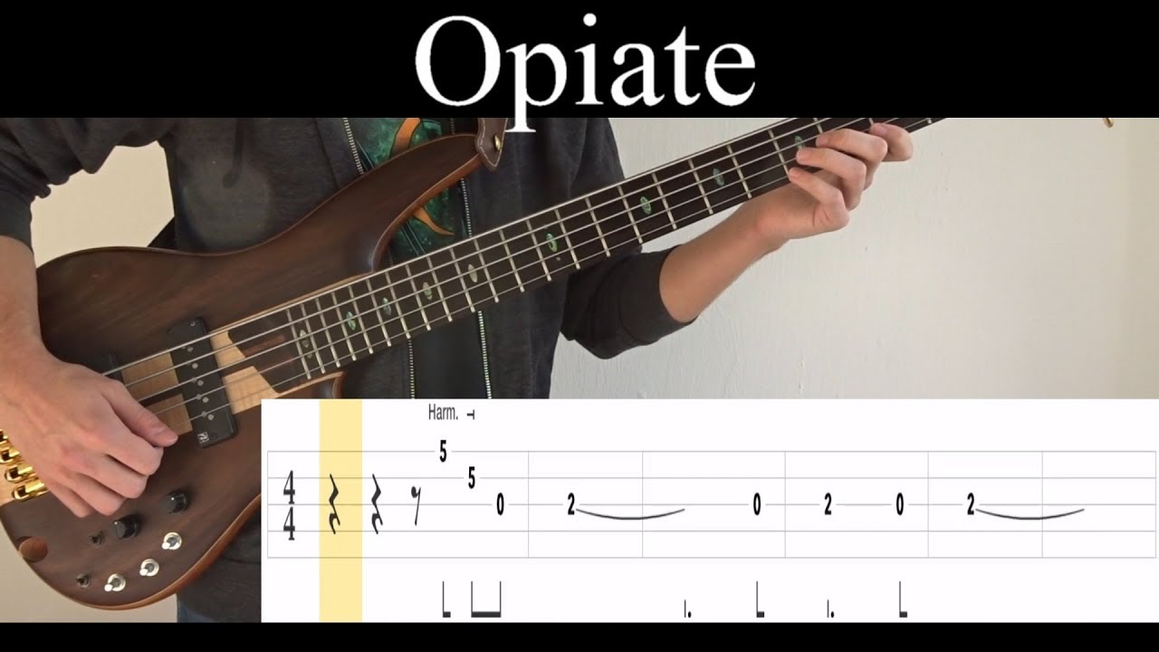 Opiate (Tool) Bass Cover (With Tabs) by Leo Düzey YouTube