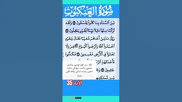 سورة العنكبوت الآية 35 #قرآن #quran #islamicstatus
