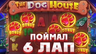 СЛОВИЛ 6 ЛАП В THE DOG HOUSE MEGAWAYS! ЗАНОС  / ЗАНОСЫ НЕДЕЛИ