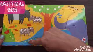 Baby’s very first slide and see zoo usborne