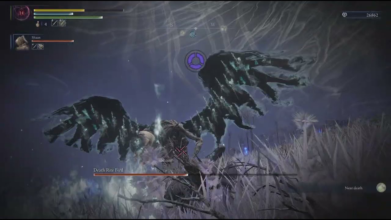 Bs death rite bird attack