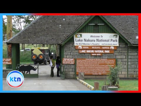 Free entry to national parks draws huge crowds on World Tourism Day, Nakuru locals protesting denial