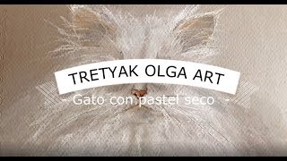 Como dibujar un Gato con Pastel Seco / How to paint a cat with Soft Pastel. Vídeo en Español screenshot 2