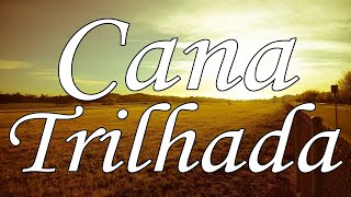 Cana Trilhada Hino Avulso Letra Janaina Kelly