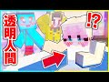 女子の家に隠れてイタズラしまくるドッキリした結果www【まいくら/マインクラフト】まとめ動画