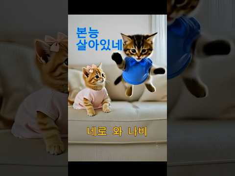 [나비와네로] 본능 살아있네!