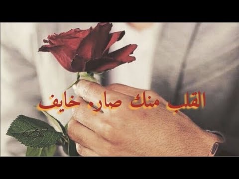 شيلة القلب من ك صار خايف كيف تقسون اداء مسفر بن دريميح سلام عليكم