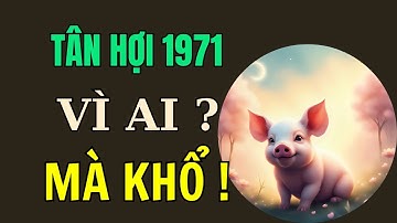 Tuổi Tân Hợi 1971, Vì ai mà khổ ? Đến Bao giờ ông trời mới trả lại những gì đã hy sinh, đã chịu đựng