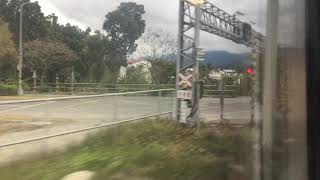 431車次普悠瑪自強號往樹林通過池上站