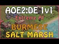 AOE2:DE - 1v1 Extreme AI - Burmese Salt Marsh - Scout Rush (Training) - 2022/09/10