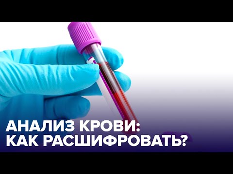 Как СДАВАТЬ и как расшифровать общий АНАЛИЗ КРОВИ?