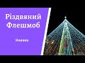 Різдвяний Флешмоб духовенства Полтавської єпархії, Української Православної Церкви