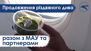 Продовження Різдвяного Дива Разом З Мау Та Партнерами