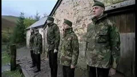 The Carrot Or The Stick