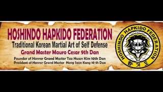 08 Hoshindo Hapkido