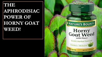 Unleashing the Power of Horny Goat Weed | Natural Remedy for Enhancing Libido and Sexual Performance