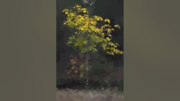 Voronoi diagram animation 2