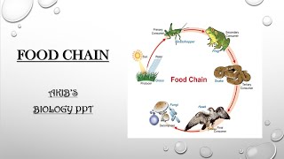 Food chain presentation || food chain||  Biology PPT