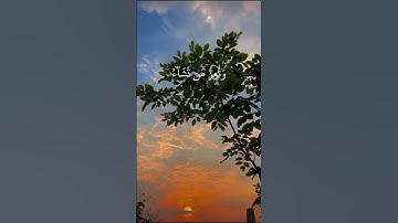 قل اللهم مالك الملك تؤتي الملك من تشاء #القرآن_الكريم #qurankarem #تلاوة_خاشعة