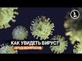 САМЫЙ МОЩНЫЙ МИКРОСКОП В МИРЕ. КАК УВИДЕТЬ ВИРУС, АТОМЫ?