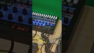 Dawless in Minsk - End of rep #dawless #modelsamples #korgmonologue #electronicmusic #dawlessjam