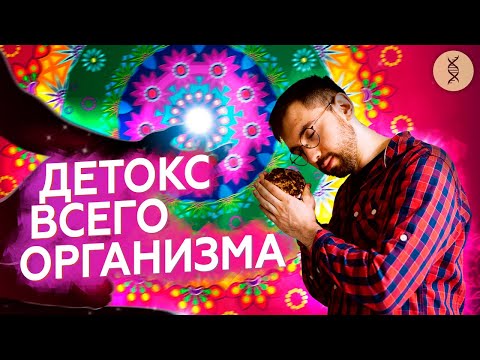 Как очистить ОРГАНИЗМ от ШЛАКОВ?