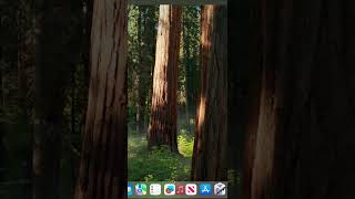 How to remove things from the Dock in macOS Sequoia