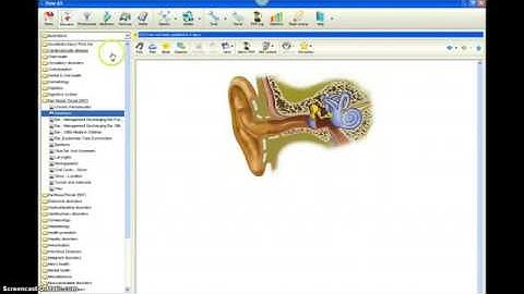 How To Navigate DXS - clinical decision support system