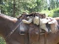 Wolf Management in Idaho