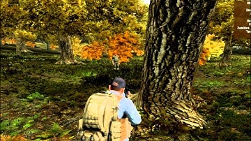 Arma II: Dayz - Hacker