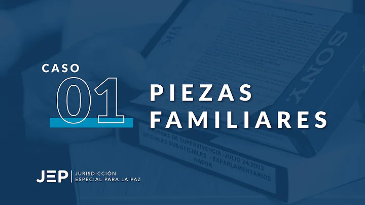 Piezas Familiares del Caso 01 | Mary Luz Henao