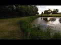 VR Nature walk Lilly diving into Pond to fetch sticks