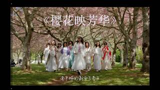 樱花映芳华