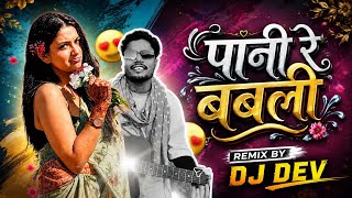 Pani Re Babli x Pani Re Babli Sunau Kya | Instagram Trending | CG DJ Remix 2026 | DJ Dev #dj 