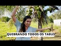 Como ter fartura de COCO? NÃO PLANTE coco sem antes ver esse vídeo! TODO MEU SEGREDO! FRAN ADORNO