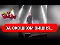 Ярослав Сумишевский - За окошком вишня, ДУШЕВНОЕ ИСПОЛНЕНИЕ!