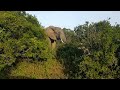 Addo National Park video - (Elephants; Lions; Buffalos; Kudu and many other wildlife)