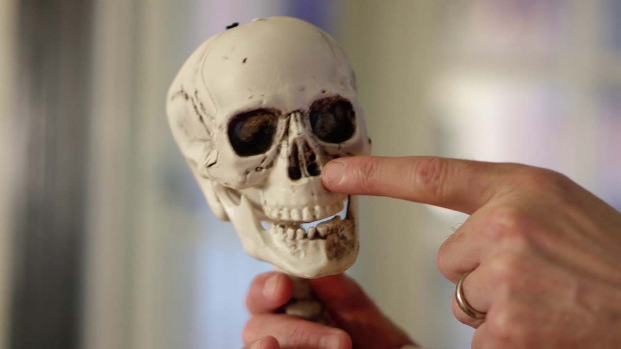 Så funkar det – Kroppen inifrån och ut: skelettet