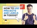 How to Use Projects and Labels in Todoist (Free Workflow) 2026