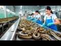 China snake farm  how farmer make 1 billion usd from 3 million snake every year chinese farming