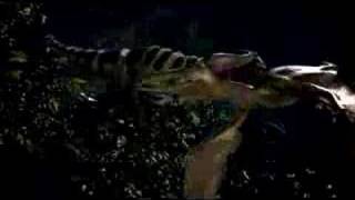 ROBORAPTOR TV Ad