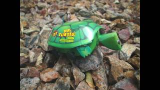 TNT Fireworks - Mr Turtle novelty firework
