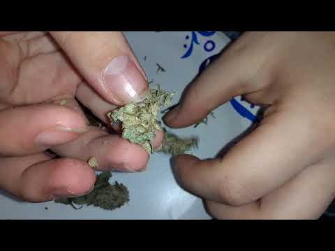 Video: Horny Geit Weed - 10 Fordeler, 4 Bivirkninger Og Dosering