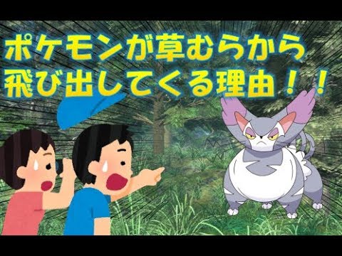 ポケモンが襲ってくる理由 ポケモン茶番 Youtube