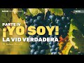 #96  | PARTE II ¡EL YO SOY!  LA VID VERDADERA |  PR. BOLIVAR MOJICA Jr.  | #predicacristiana