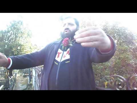 ასე ამხელა მუტელი !