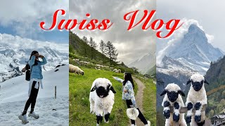 Swiss Alps: Zermatt, Matterhorn, and the Adorable Sheep