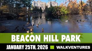 Walking Tour in Beacon Hill Park, Victoria BC [4K] January 25th, 2026 | DJI Action 6
