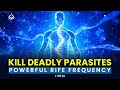 1150 Hz Parasite Removal Powerful Rife Frequency To Cleanse Harmful Parasites 1150 Hz Parasite Removal Powerful Rife Frequency To Cleanse Harmful Parasites